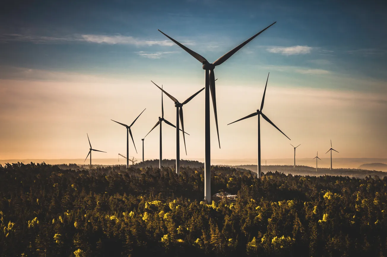 Drönarfoto över skogsområde med flera vindkraftverk.