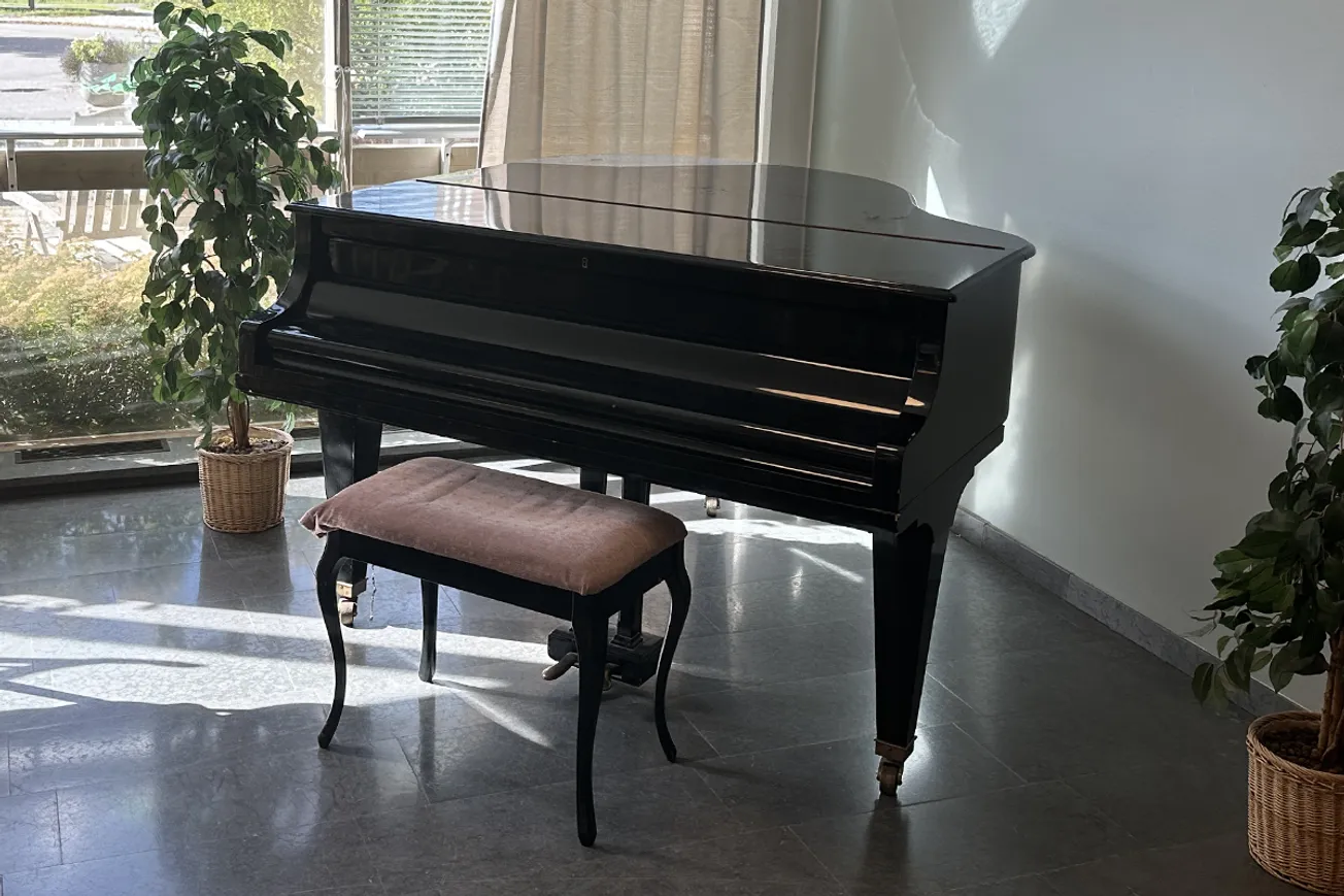 Ett svart piano som sitter i ett vardagsrum bredvid ett fönster.