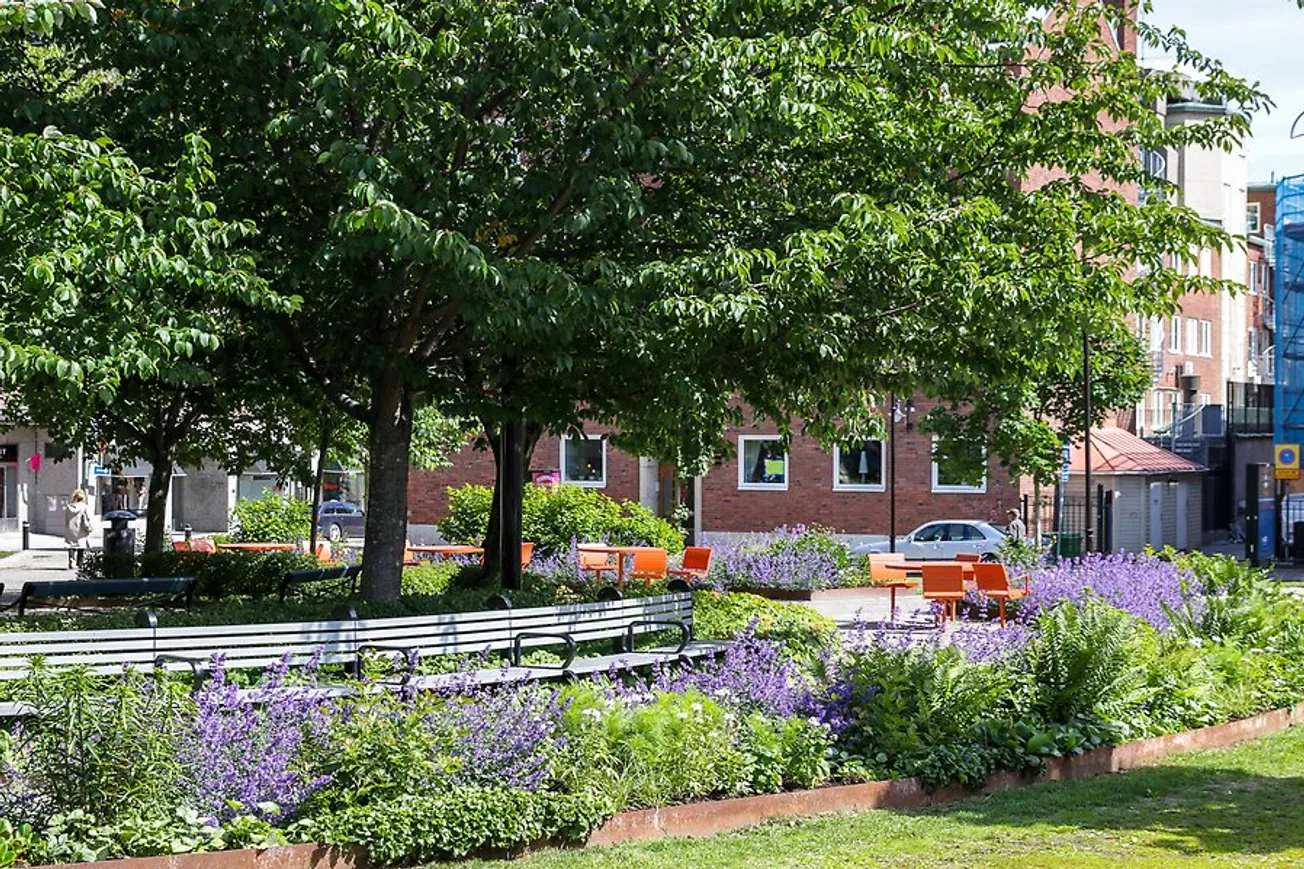 Hedbergska parken sommartid. I förgrunden syns blomplanteringar, bänkar och träd, i bakgrunden bil och byggnader.