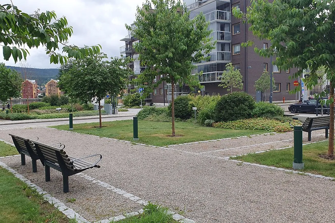 Några parkbänkar i ett parkområde sommartid.