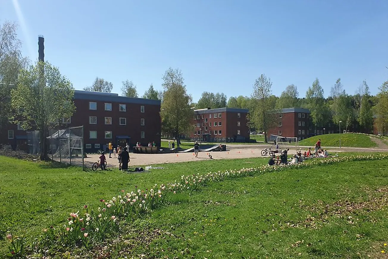 En grupp människor som står på ett grönskande fält i Sundsbruk.