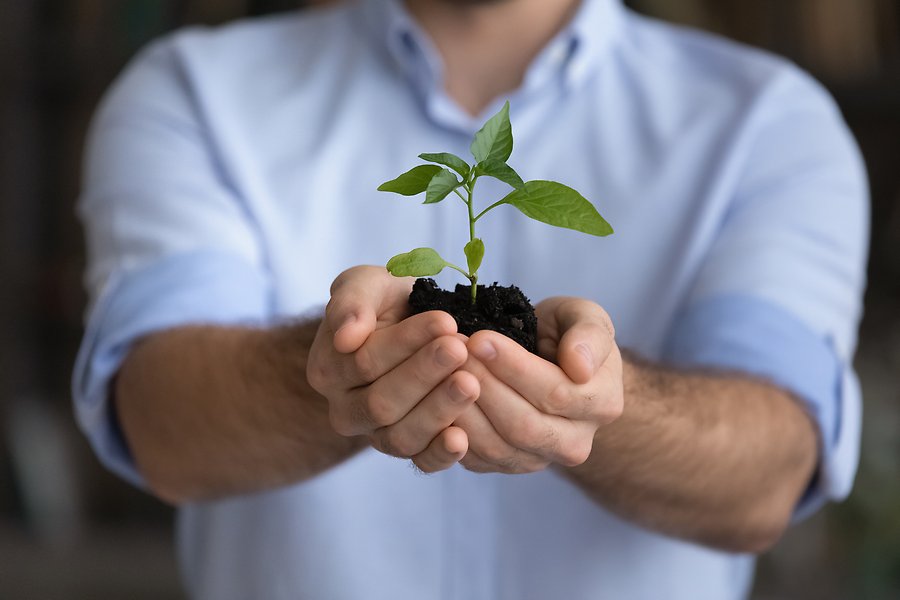 En man håller i en planta